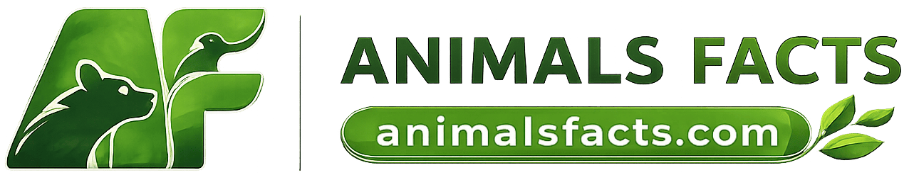 Animals Facts
