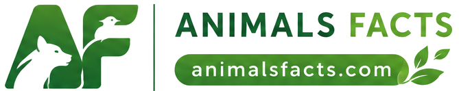 Animals Facts