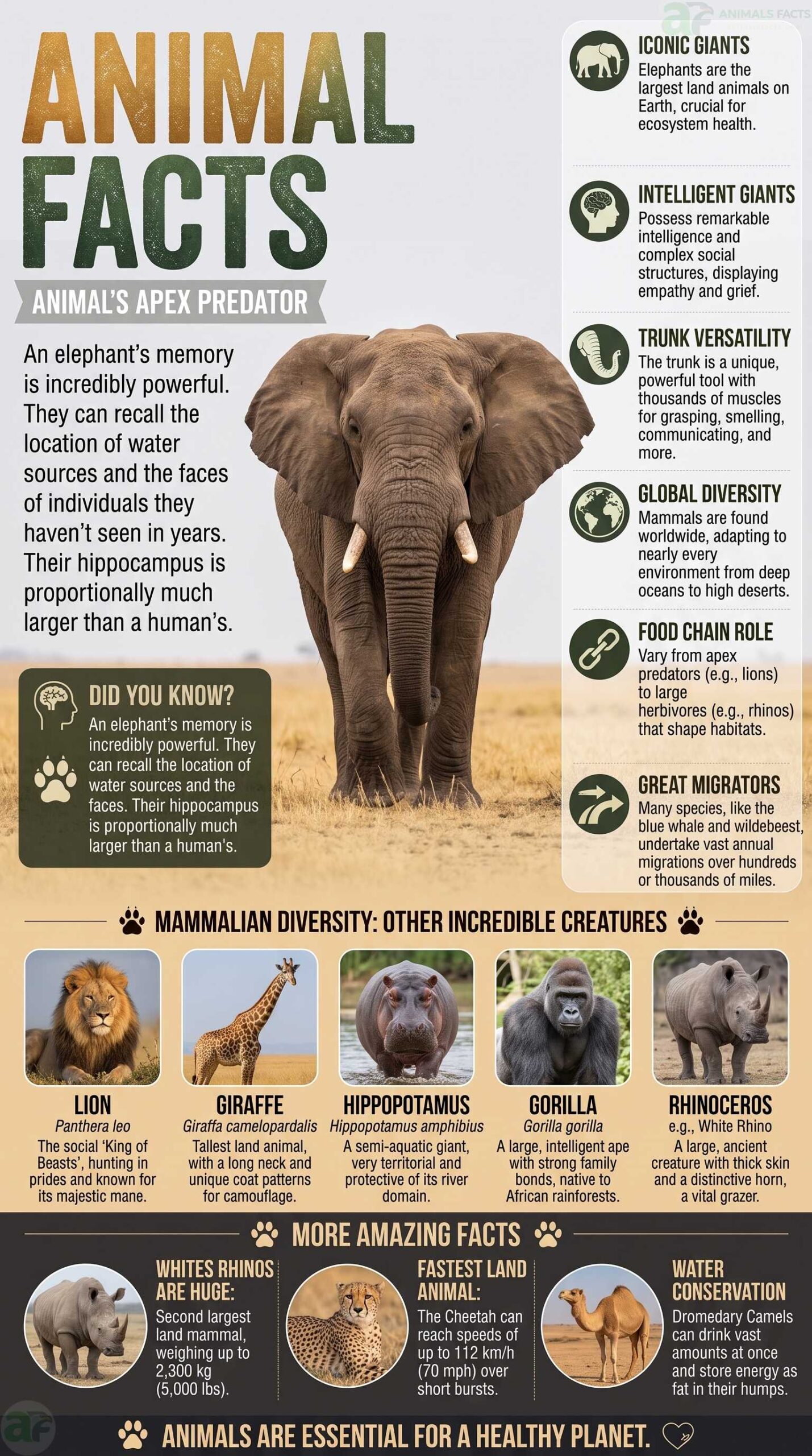 animal facts portrait