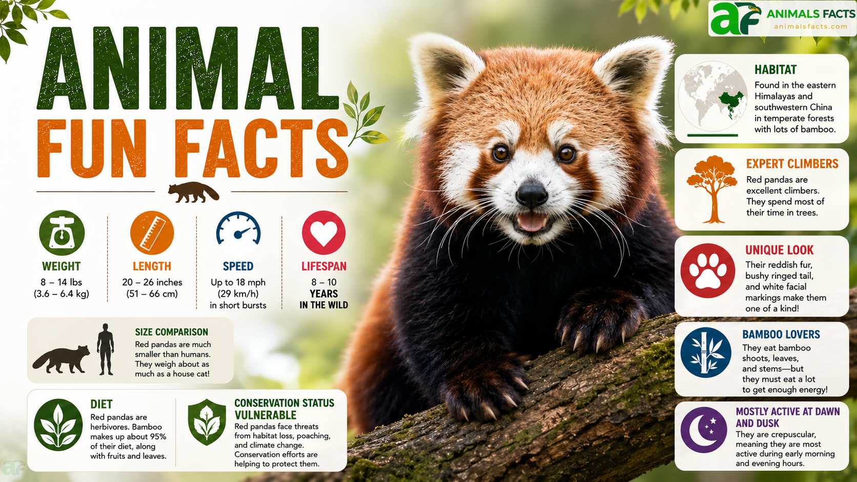 animal fun facts