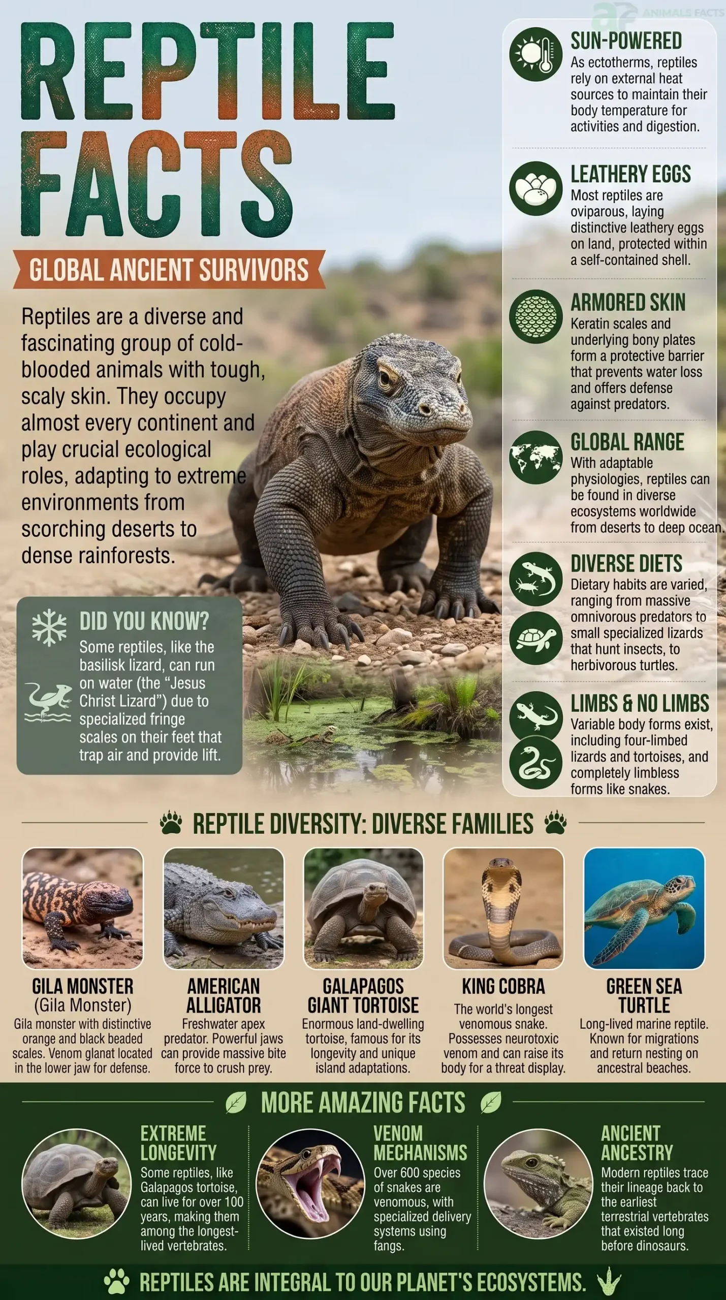 reptile facts portrait