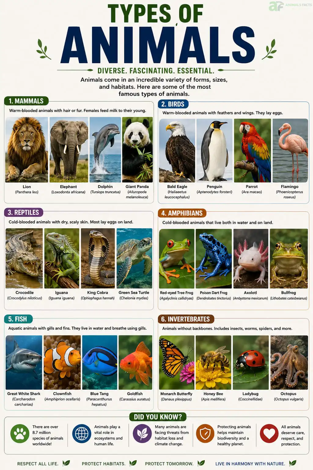 types of animals
