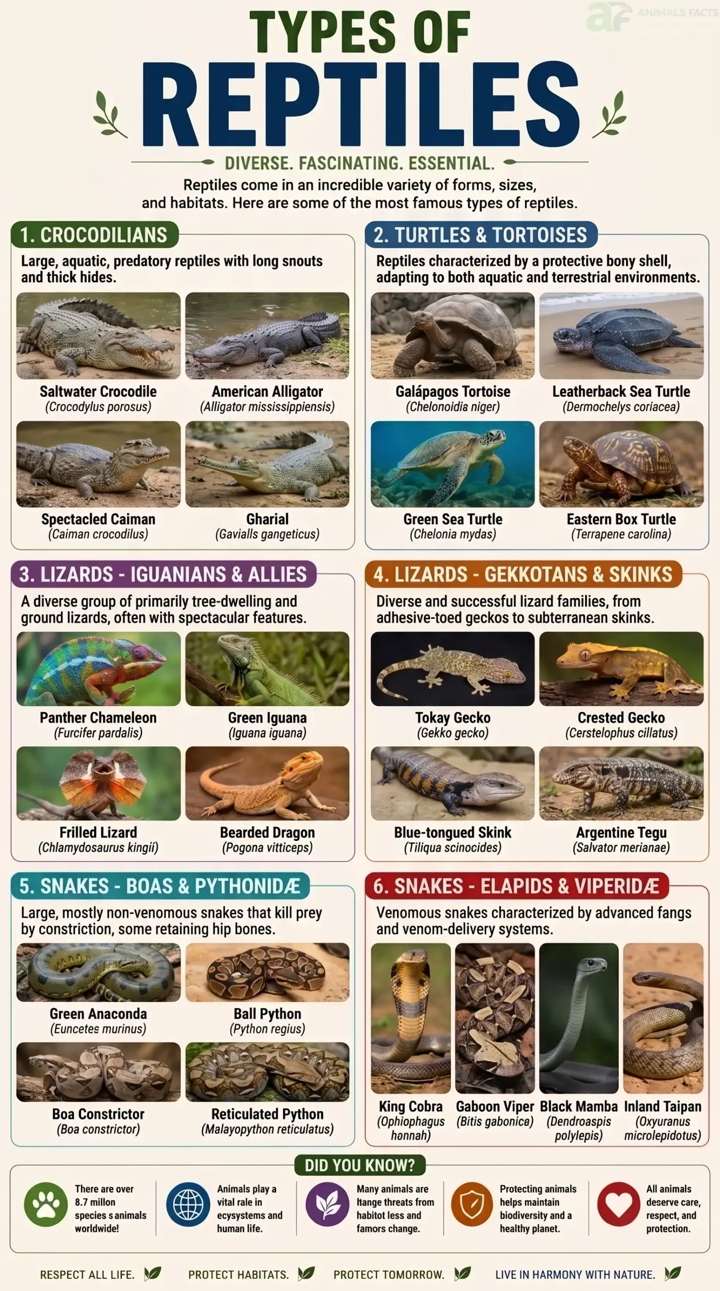 types of reptiles