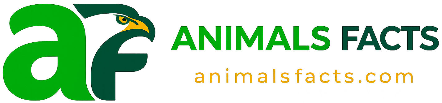 Animals Facts