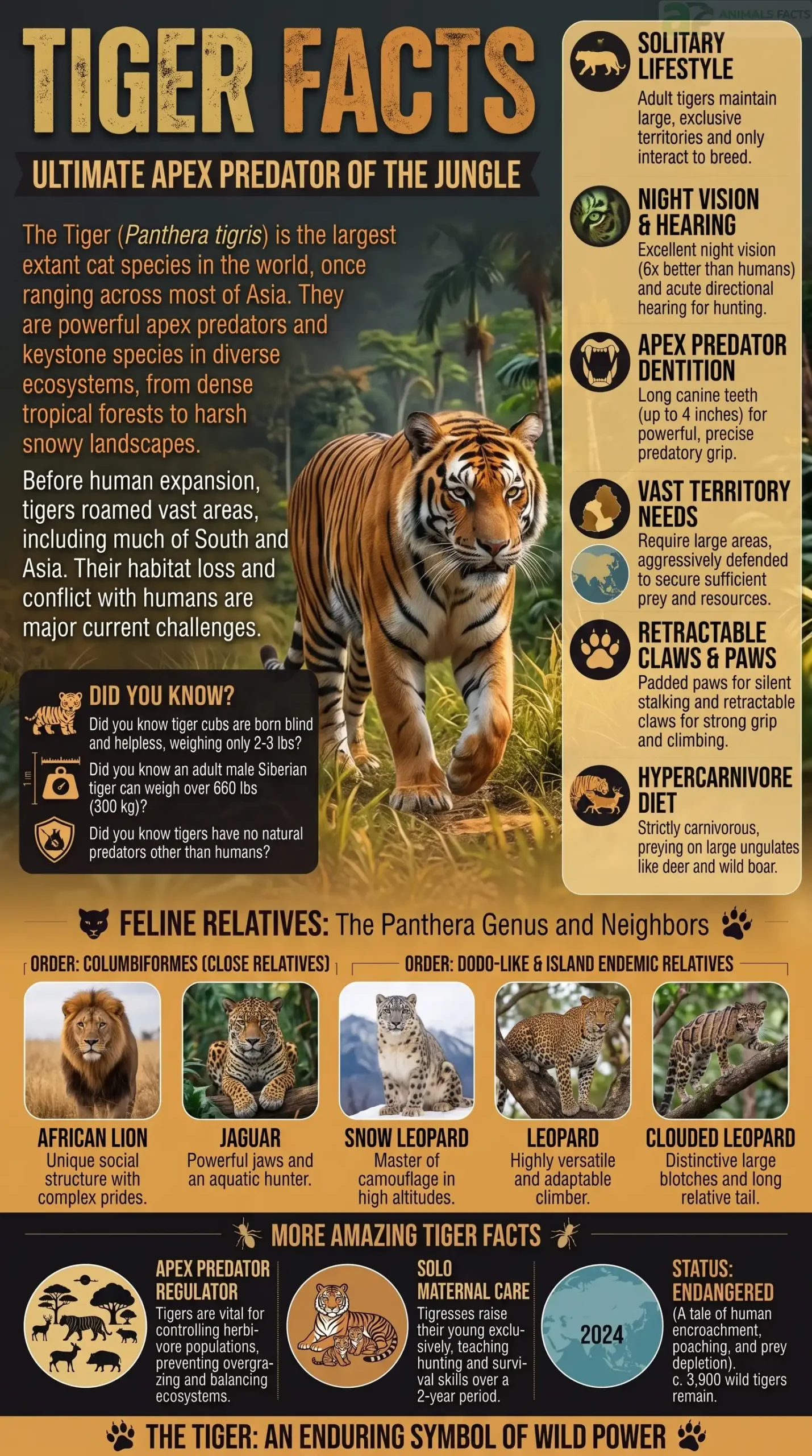 tiger facts